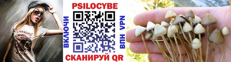 Галлюциногенные грибы Psilocybine cubensis  Купить закладки  Дмитров 