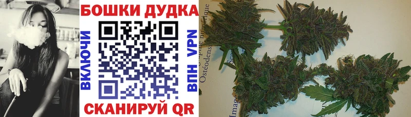 Купить  Дмитров  Бошки Шишки индика 